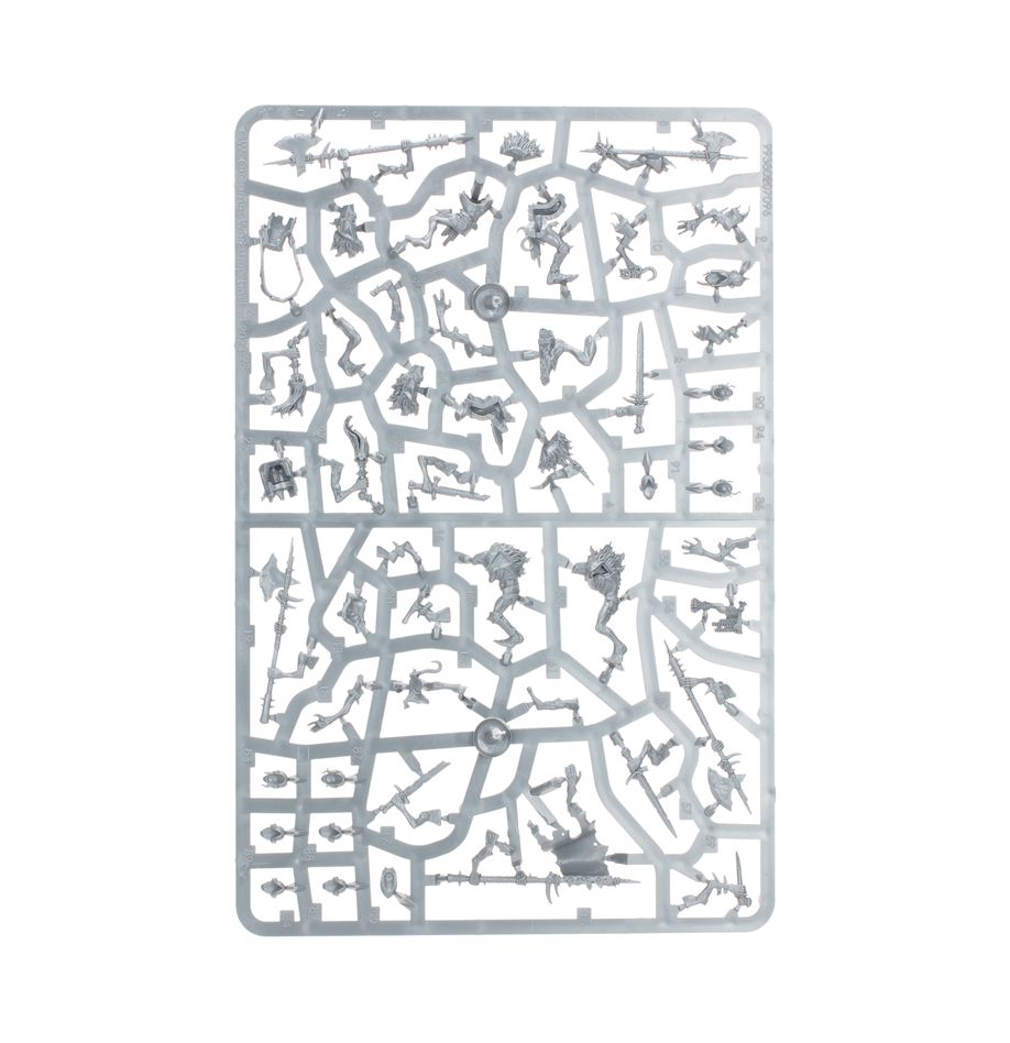 ウォーハンマーAGE OF SIGMAR:フレッシュイーター・コート:クリプトガード | MAG-HAMMER