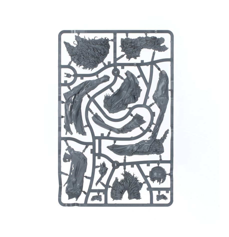 ウォーハンマーAGE OF SIGMAR:フレッシュイーター・コート:“虚妄の御使”ウショーラン | MAG-HAMMER