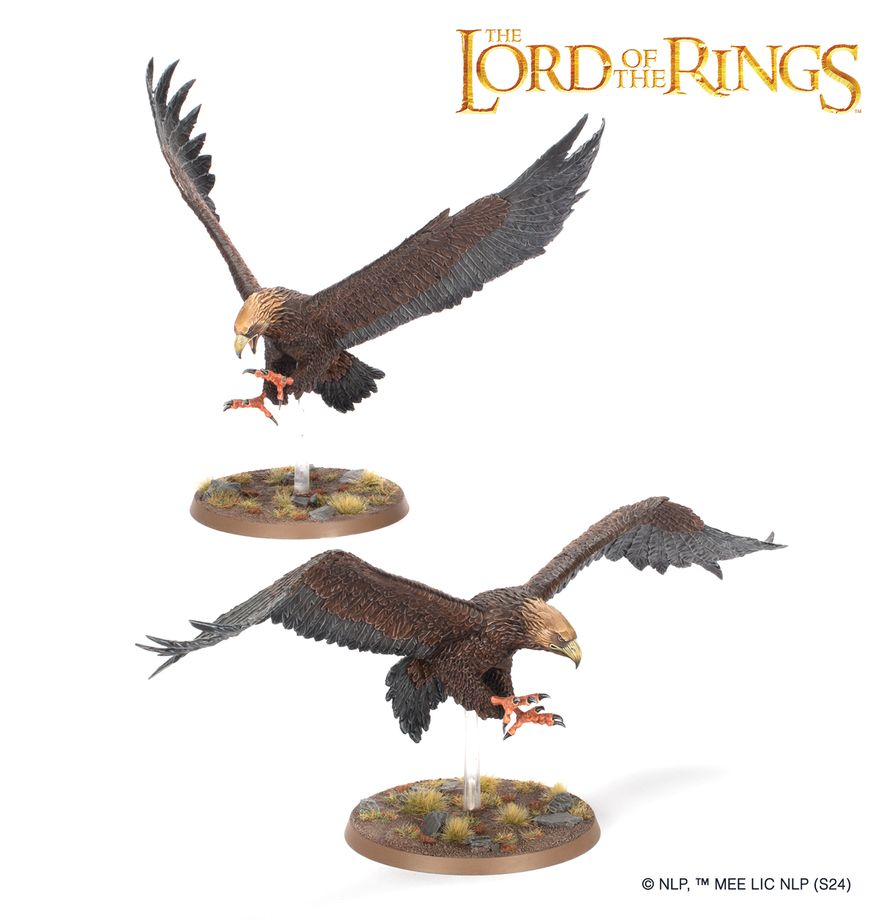 THE LORD OF THE RINGS: FELLOWSHIP OF THE RING