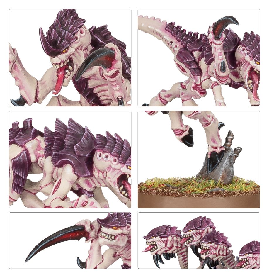 Tyranids: Hormagaunts | Warhammer 40,000 (40k)