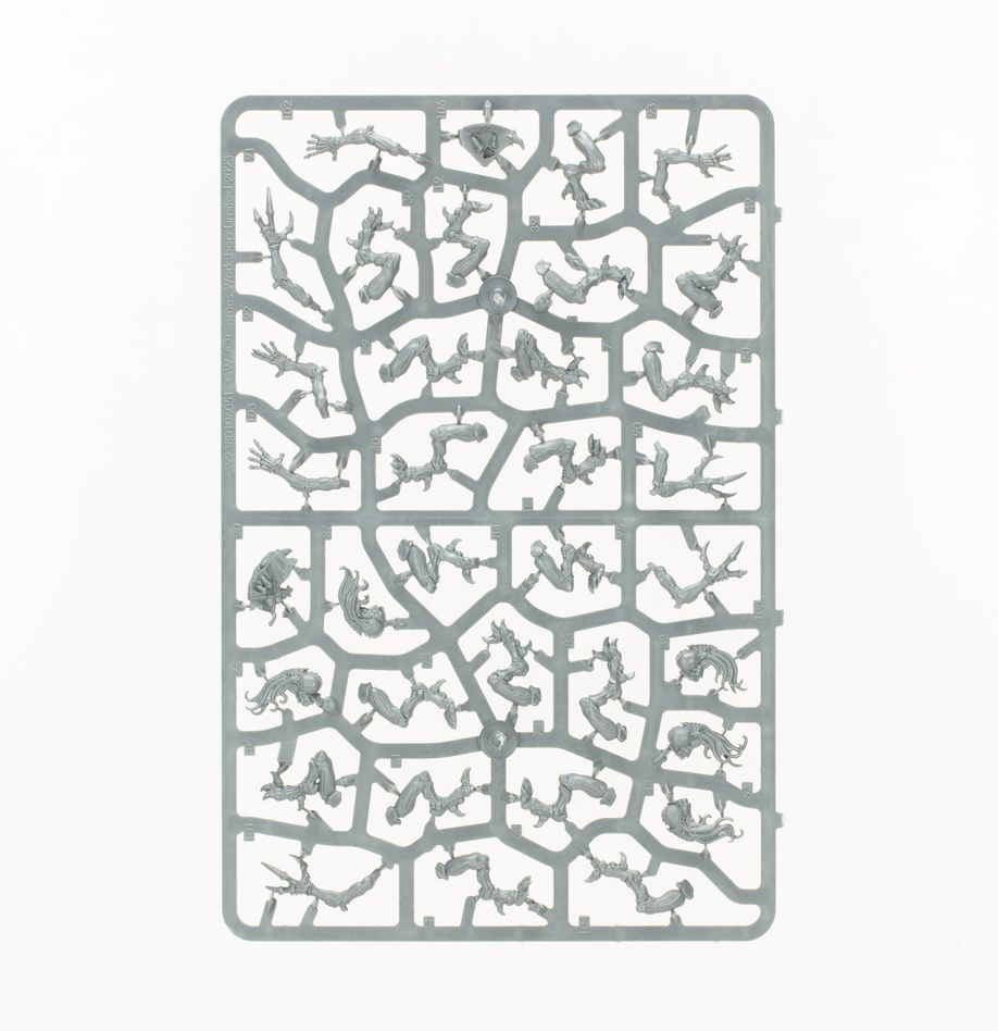 ウォーハンマー40,000：コンバットパトロール：ティラニッド強襲群 | MAG-HAMMER