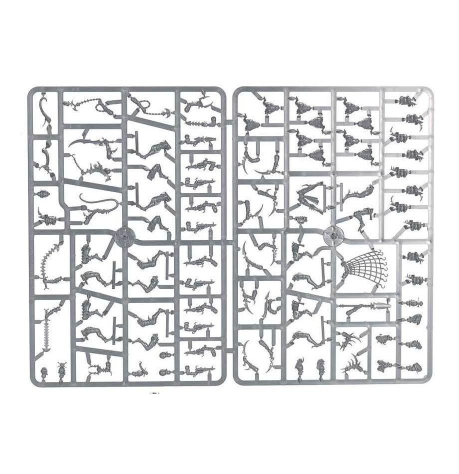デュカーリ：ウィッチ | ウォーハンマー40,000（40k）