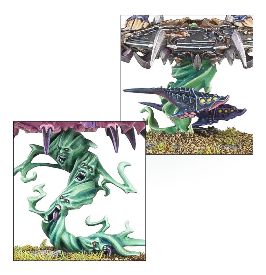 ディサイプル・オヴ・ティーンチ：ツァーンゴウル・エンライテンド | ウォーハンマーAge of Sigmar（AoS）