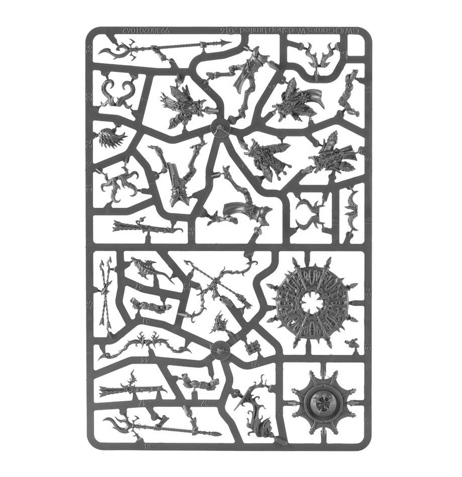 ディサイプル・オヴ・ティーンチ：ツァーンゴウル・エンライテンド | ウォーハンマーAge of Sigmar（AoS）