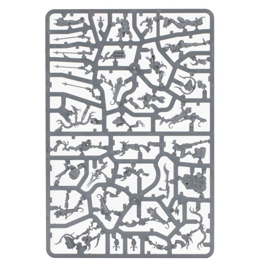 ヘドナイト・オヴ・スラーネッシュ：頽廃の軍団 | ウォーハンマーAge of Sigmar